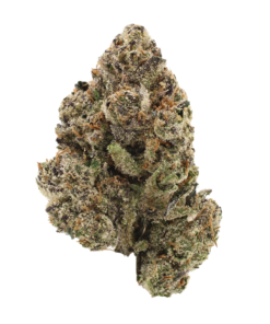 Fidel Runtz | THCa Flower | Tier 1