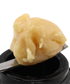Madison Zquared Garden #2 | Cold Cure | Reserve Batch