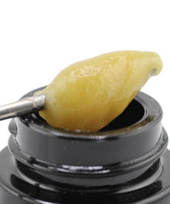 Mangos | Live Rosin | JAM