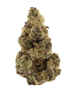 Scorpion | THCa Flower | Tier 1