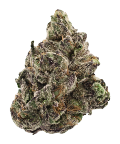 Snoop-Lato | THCa Flower | Tier 1
